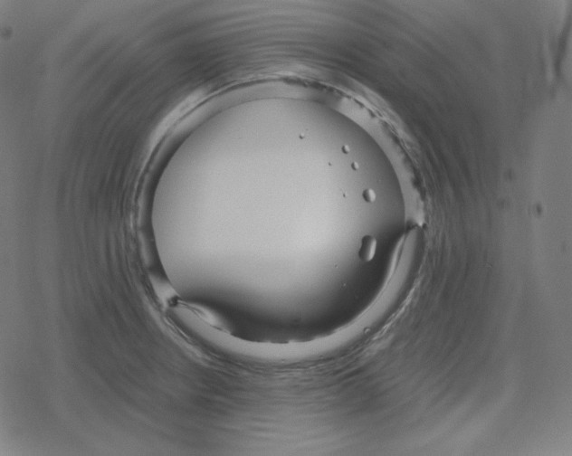 X0000078281234200612011736