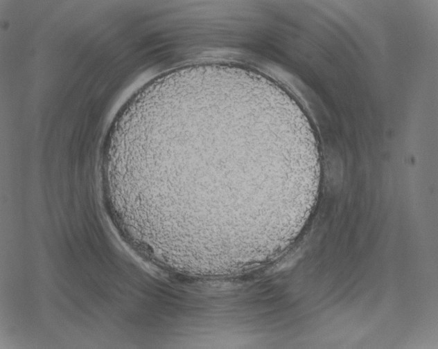 X0000078281235200612011736