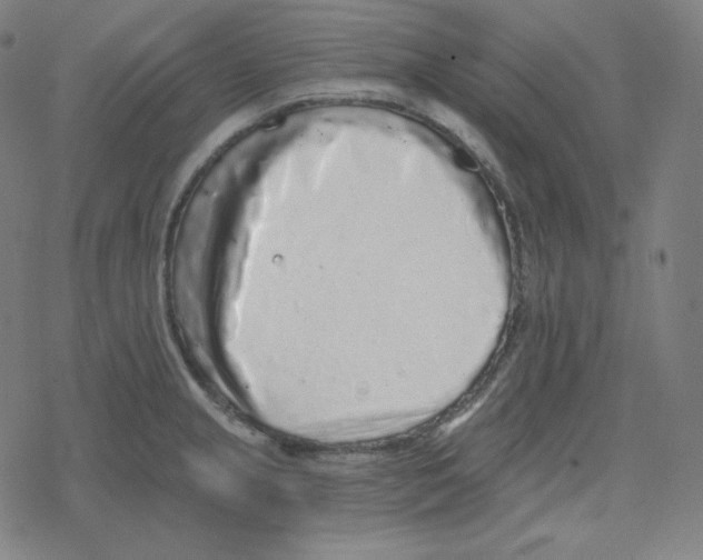 X0000078281237200612011736