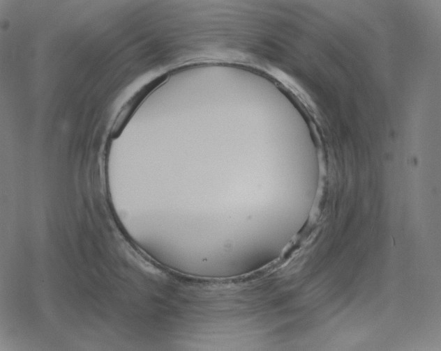 X0000078281238200612011736