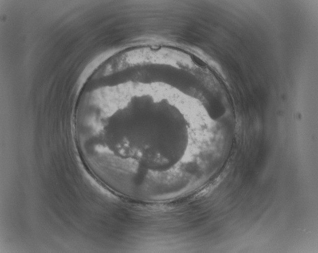 X0000078281239200612011736