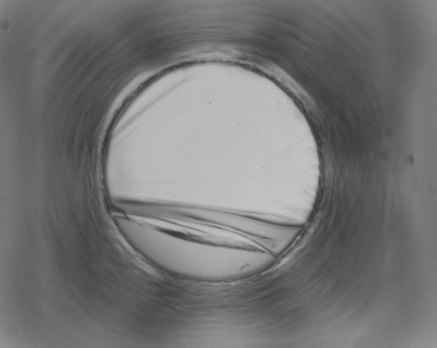 X0000078281240200612011736