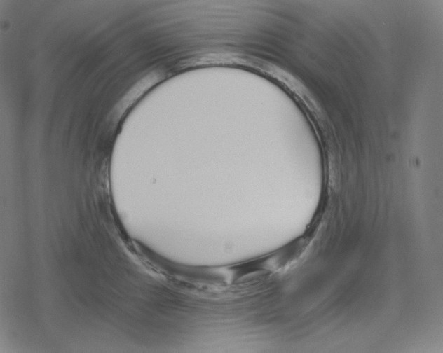 X0000078281241200612011736