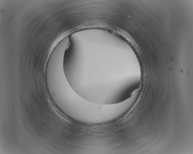 X0000078281242200612011736