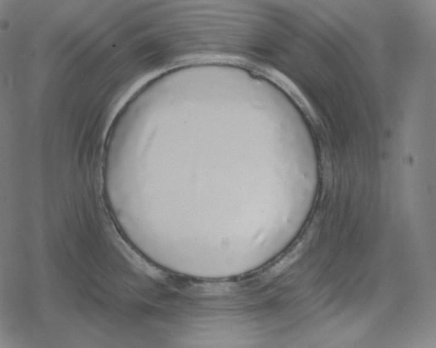 X0000078281244200612011736