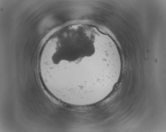 X0000078281245200612011736