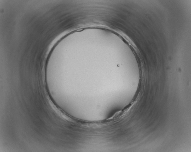 X0000078281246200612011736