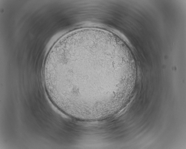 X0000078281247200612011736