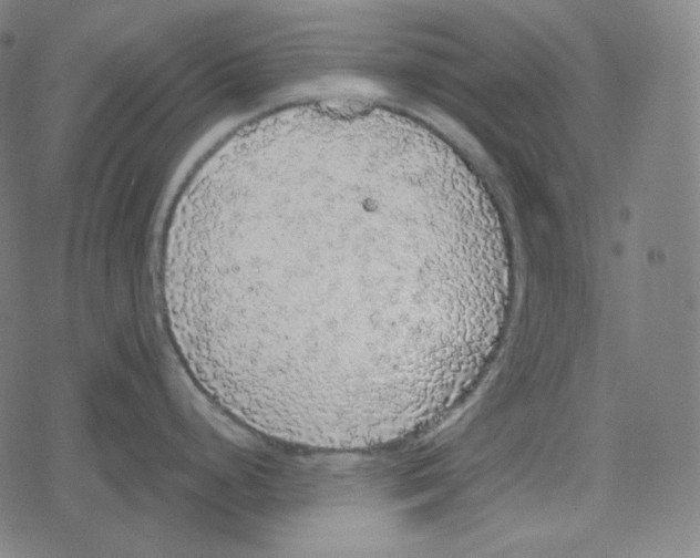 X0000078281248200612011736