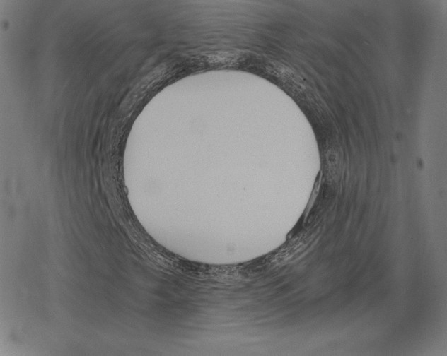 X0000078281249200612011735