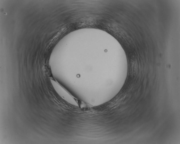 X0000078281250200612011735