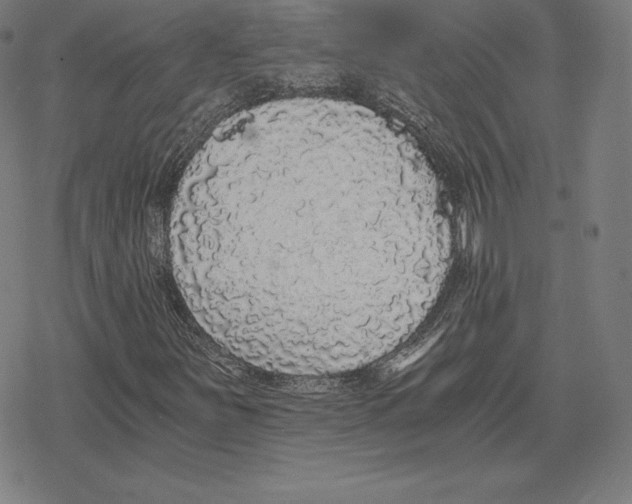 X0000078281251200612011735