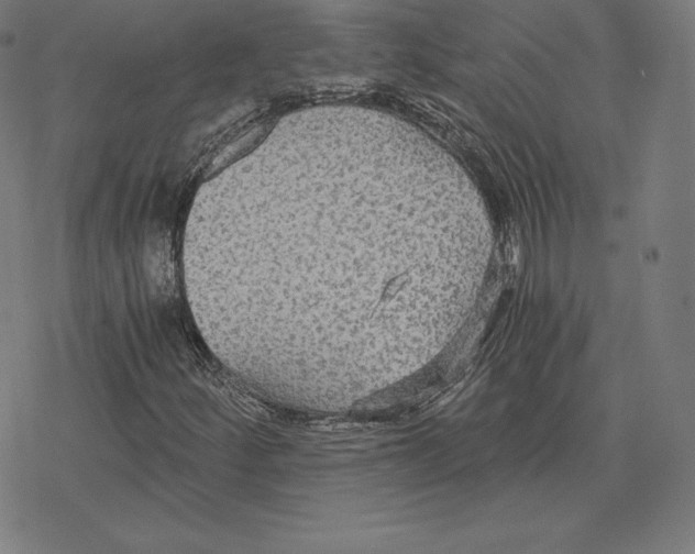 X0000078281252200612011735