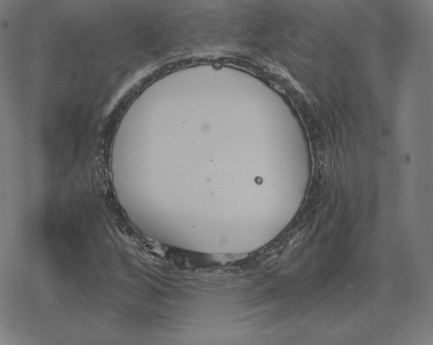 X0000078281256200612011735