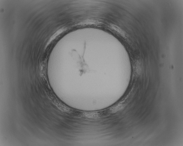 X0000078281258200612011735