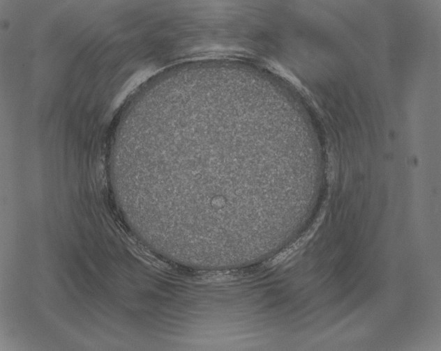 X0000078281259200612011735