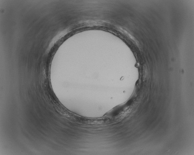 X0000078281261200612011735