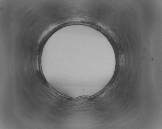 X0000078281262200612011735