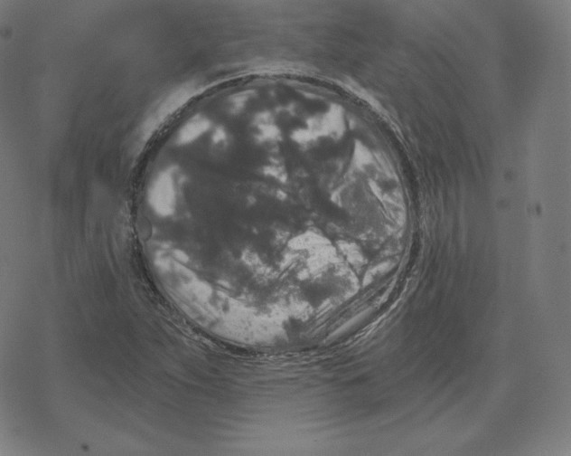 X0000078281263200612011735