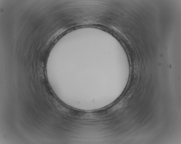 X0000078281265200612011735