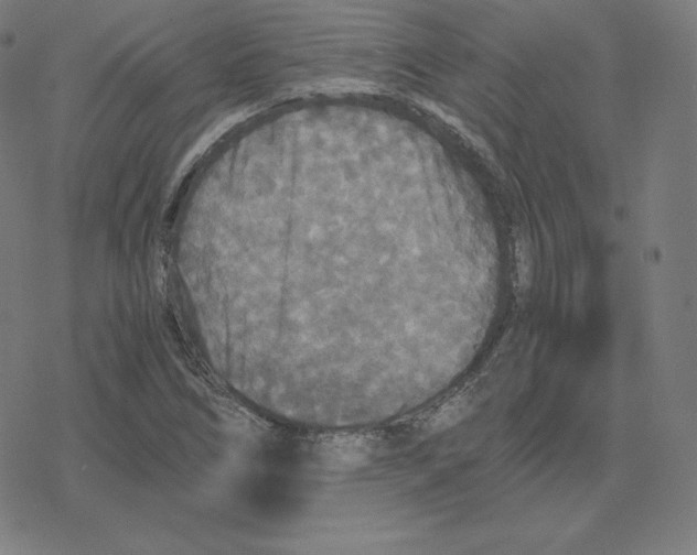 X0000078281266200612011735