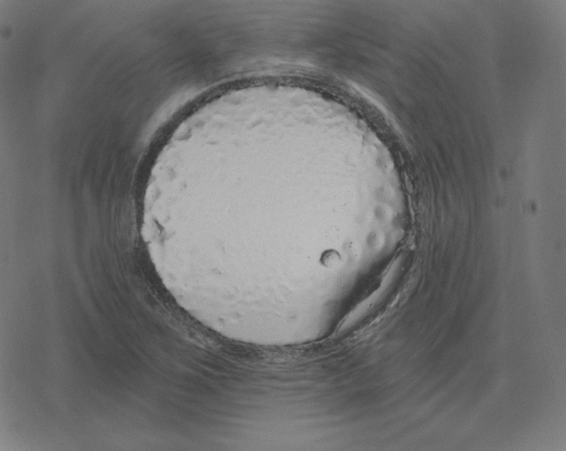 X0000078281267200612011735