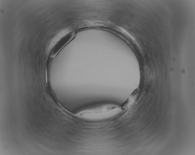 X0000078281269200612011735