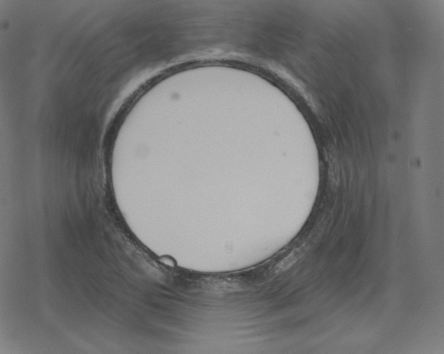 X0000078281270200612011735