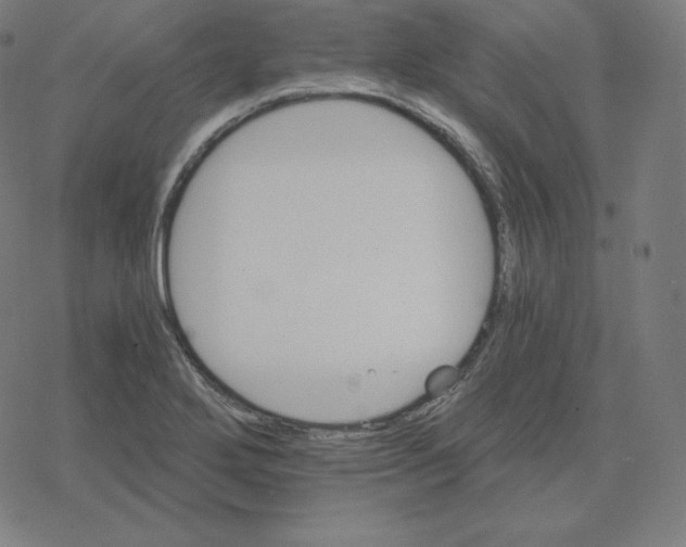 X0000078281272200612011735