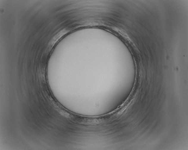 X0000078281273200612011735