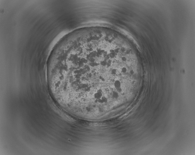 X0000078281275200612011735