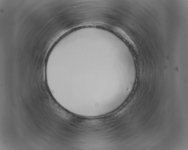 X0000078281276200612011735