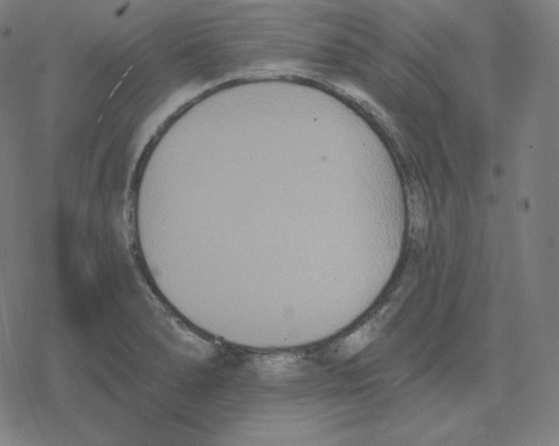 X0000078281278200612011735