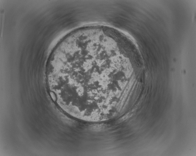 X0000078281279200612011735