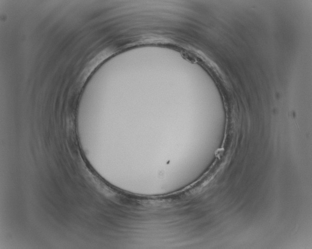 X0000078281281200612011735