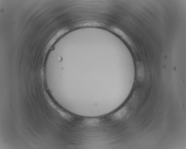 X0000078281282200612011735