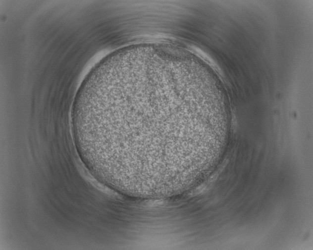 X0000078281283200612011735