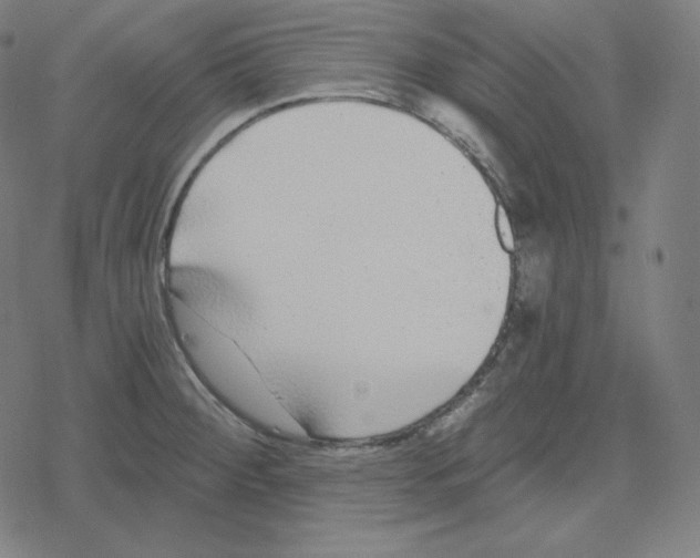 X0000078281284200612011735