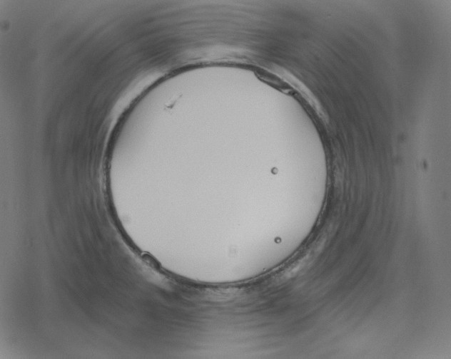 X0000078281285200612011735