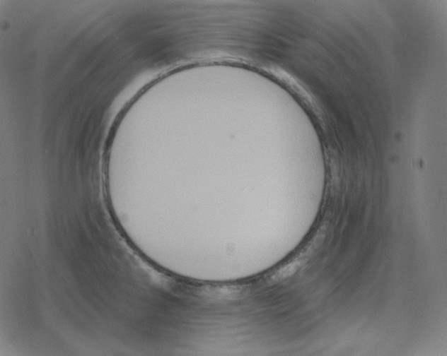 X0000078281286200612011735