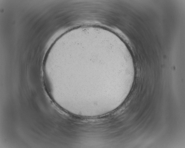 X0000078281287200612011735