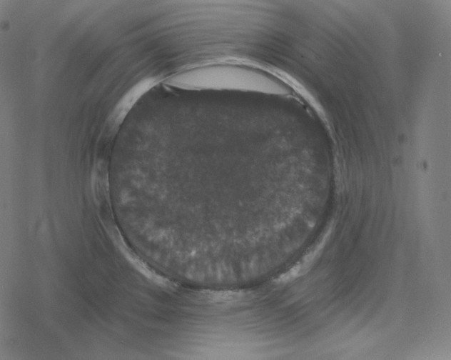 X0000078281289200612011735