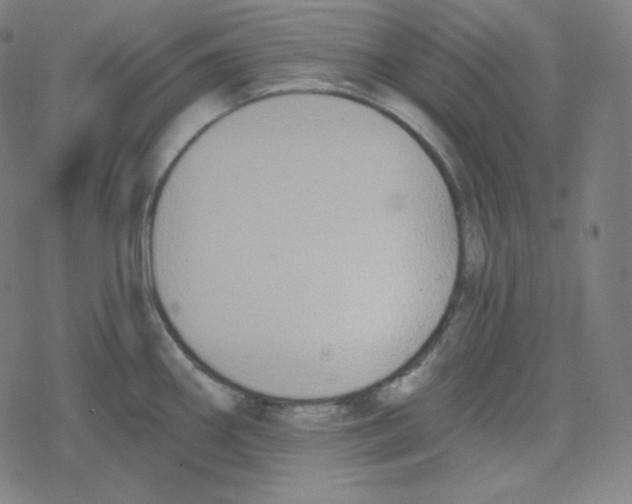 X0000078281290200612011735