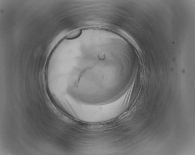 X0000078281291200612011735