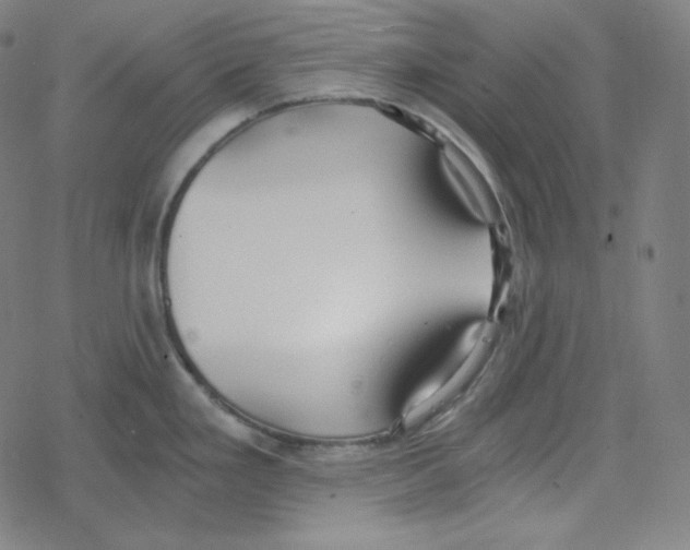 X0000078281293200612011735