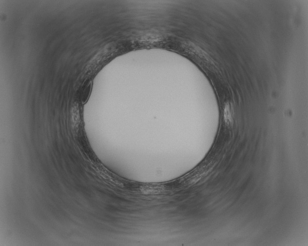 X0000078281299200612011734