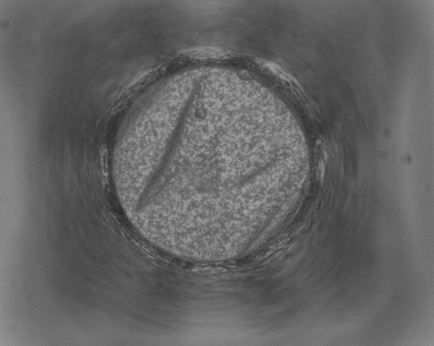 X0000078281301200612011734