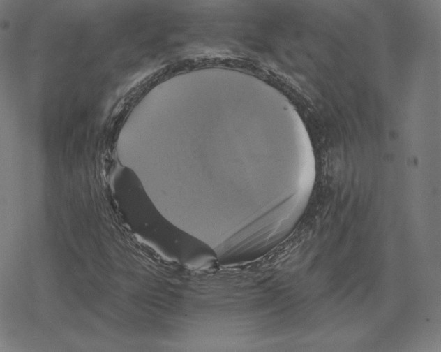 X0000078281303200612011734