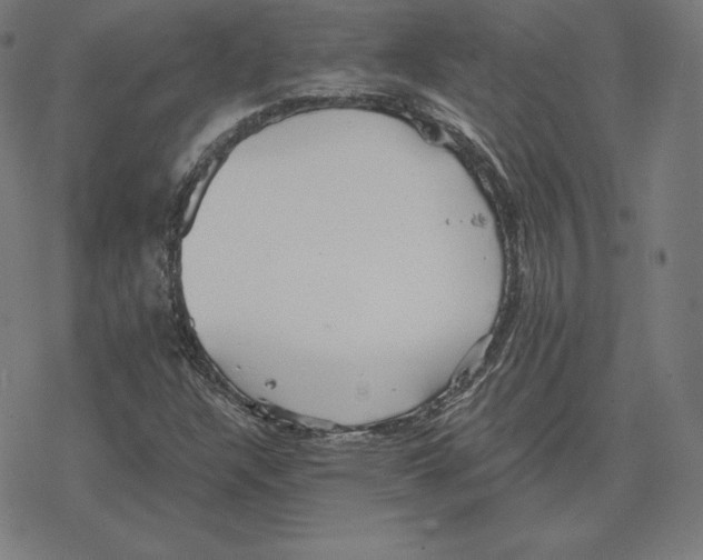 X0000078281304200612011734