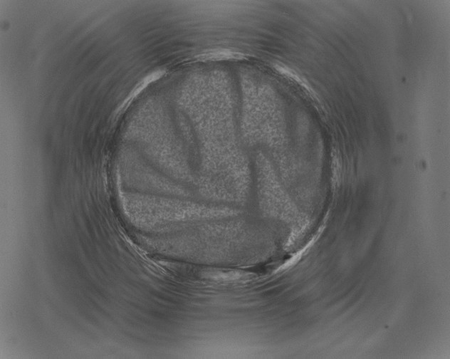 X0000078281305200612011734